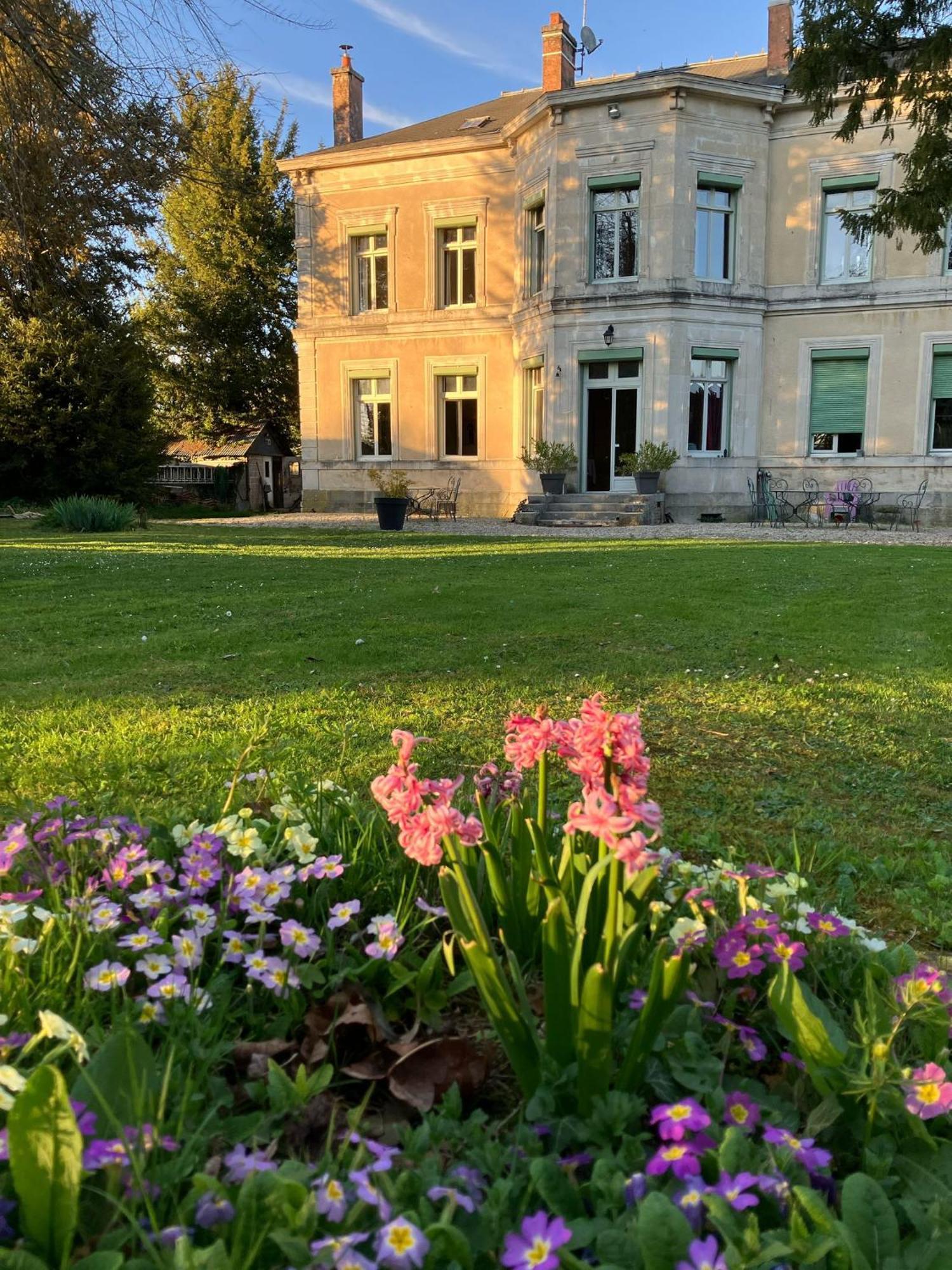 Chateau De Pougy Exteriér fotografie